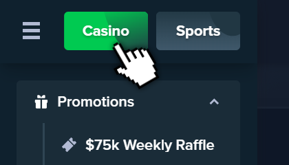 STAKE CASINO